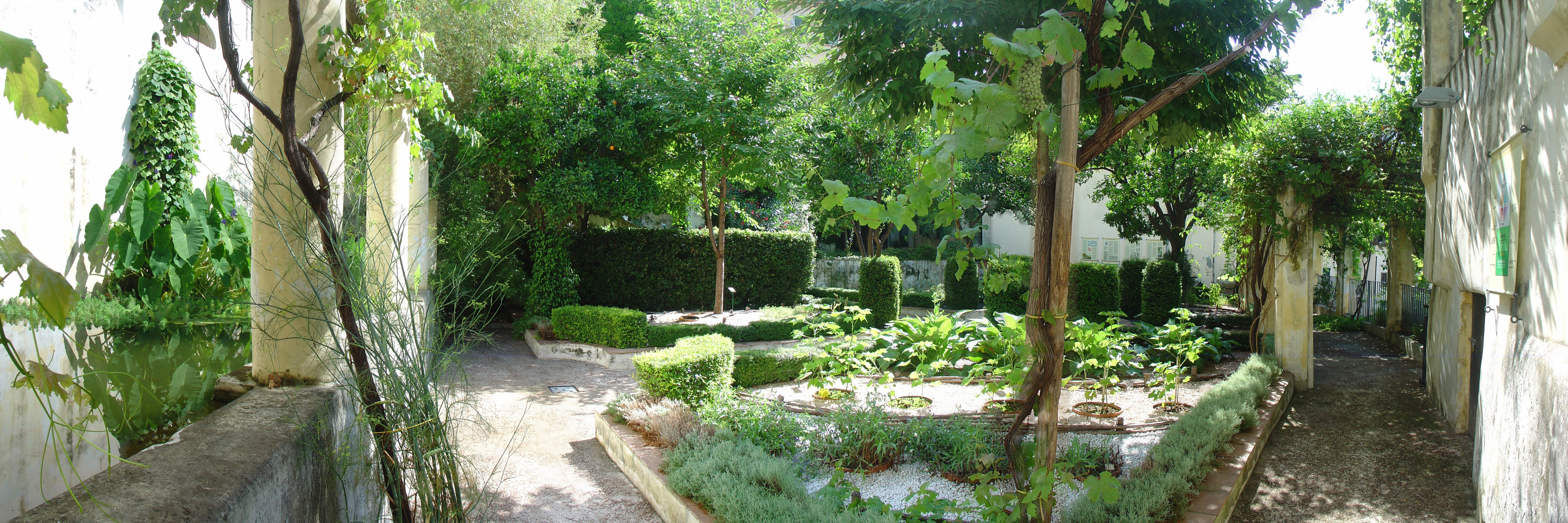 Giardino della Minerva